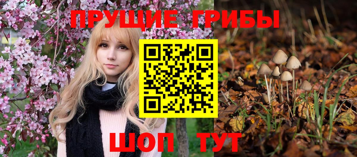 Псилоцибиновые грибы Magic Shrooms  Псилоцибиновые грибы ЛСД  Карабулак  Вход с VPN 
